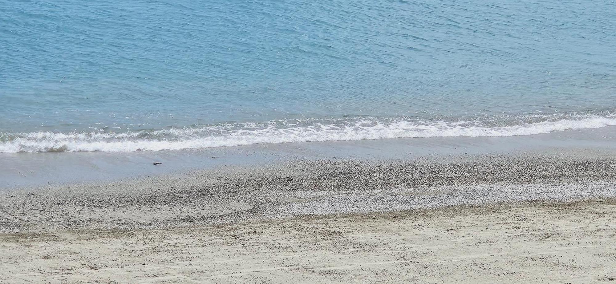 Vista Mare Savona 아파트 외부 사진